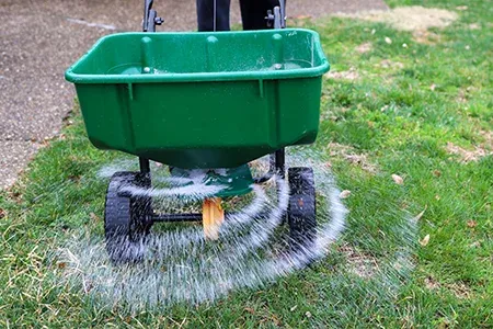 fertilizing lawn