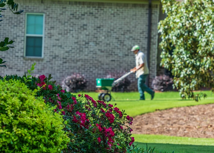 technician seeding lawn