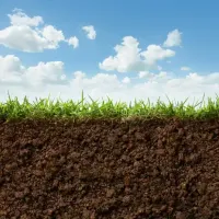 soil-grass
