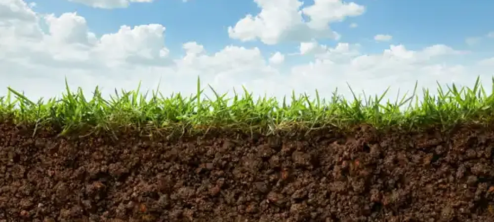 soil-grass